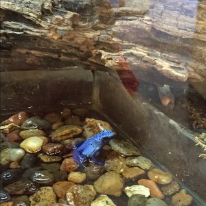 Meet your Posher, Isaac